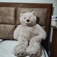 عروسک خرس tiny winy