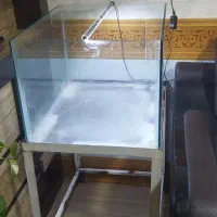 اکواریم|ماهی|گناباد, |دیوار