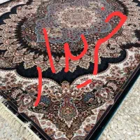 فرش درحد نو|فرش|شیراز, میانرود|دیوار