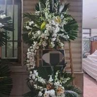 استند گل|گل و گیاه طبیعی|مشهد, سرافرازان|دیوار