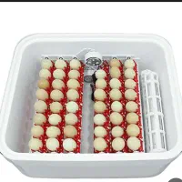 حیوانات مزرعه