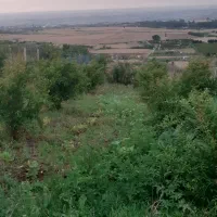 زمین-140متری-شموشک-بادرخت-انار-جای-دنج