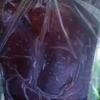لواشک درجه یک .