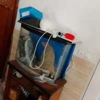 اکواریوم شیشه خم با تمامی لوازم