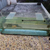 اکواریوم بزرگ