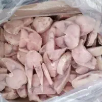 فیله شیر ماهی