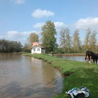 استخر-4هکتاری-سندتکبرگ-غرب-گیلان-قابل-تهاتر