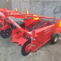 سیب زمینی کن سبز دشت صفر