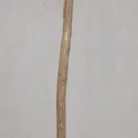 عصا از چوب جنگلی