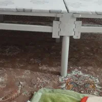 تخت فلزی تاشو نونو|تخت و سرویس خواب|جوانرود, |دیوار