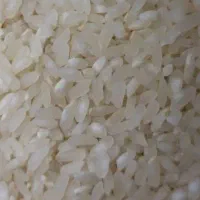 برنج درجه یک کامفیروزی اعلا بشرط پخت|خوردنی و آشامیدنی|شیراز, آزادی|دیوار