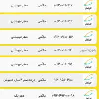 09111388296 صفر پک|سیم‌کارت|رشت, حاجی آباد|دیوار