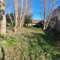 خانه و شالیزار/هشت دقیقه تا گلسار/1 هکتار/چسب هم|فروش خانه و ویلا|رشت, بلوار گیلان|دیوار