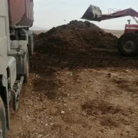 فروش کود مرغی تخم گذار عمده موجود میباشد