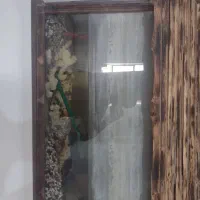 اکواریوم همراه وسایل