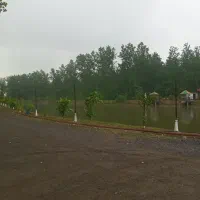 گیلان-زمین-کشاورزی-برنج