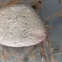 سنگ آتشفشانی