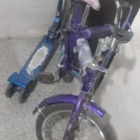اسکوتر