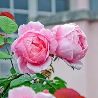 راهنمایی