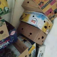 کارتون موز