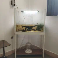 آکواریوم با پایه و تجهیزات|لوازم جانبی حیوانات|یزد, |دیوار