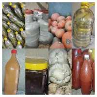 انواع محصولات کشـاورزی