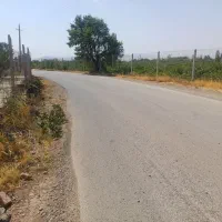 باغچه. نقلی ۵۰۰ متری با انشعابات برق و گاز اب|فروش دفتر صنعتی، کشاورزی، تجاری|تاکستان, |دیوار