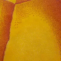 فرش کودک|فرش|بروجرد, |دیوار