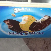 یخچال بستنی|فروشگاه و مغازه|رضوانشهر, |دیوار