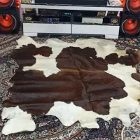 پوست گاوبزرگ