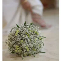 عکاسی پائیزی اَفرا (کادر بانو) در فضای باز|خدمات پذیرایی، مراسم|یاسوج, |دیوار