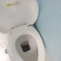 توالت فرنگی