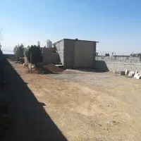 دامداری-پرورش-شترمرغ