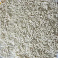 برنج طارم هاشمی