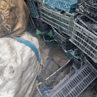 ضایعات کارتن