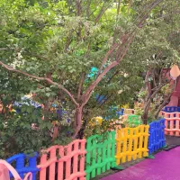 دبستان و پیش دبستان دخترانه سایه مهربانی