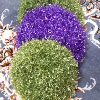 اسکاچ یاظرفشور