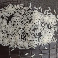 برنج هاشمی درجه یک به قیمت عمده ۳۰۰