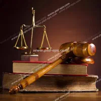 وکیل دادگستری پیگیر، متخصص همراه با مشاوره تخصصی