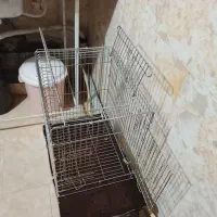 دو عدد قفس پرنده|لوازم جانبی حیوانات|اصفهان, ارغوانیه|دیوار