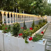مغازه