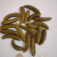 فروش خیار شور جانوشابه و دبه|خوردنی و آشامیدنی|دهگلان, |دیوار