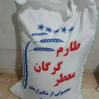 برنج طارم گرگان