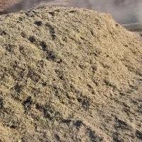 علف کوهی(گزرە)