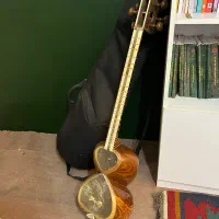 تار|سازهای سنتی|محمدشهر, همایون ویلا|دیوار