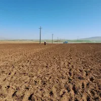 به یک راننده تراکتور نیازمندیم