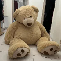 خرس خارجی بزرگ