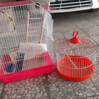 سالم در حد نو