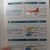 سگ اشتیبز تریر بازیگوش اروم|سگ|اصفهان, شهشهان|دیوار