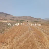 یک لنگ یافردزمین کشاورزی درعمارت شهرستان صحنه|فروش دفتر صنعتی، کشاورزی، تجاری|بیستون, |دیوار